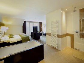 Deluxe Wellness Suite - Bedroom