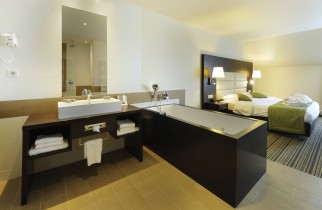 Deluxe Wellness Suite - Chambre day use