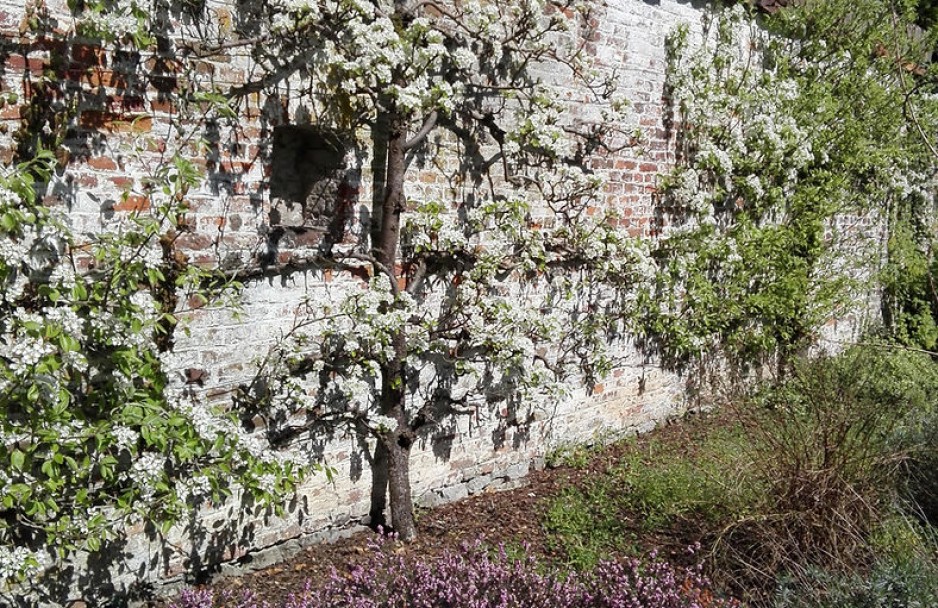 Bien-être Fontaine-L'Evêque - Charleroi